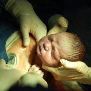 המדריך הישראלי לקיסרי טבעי של זהר